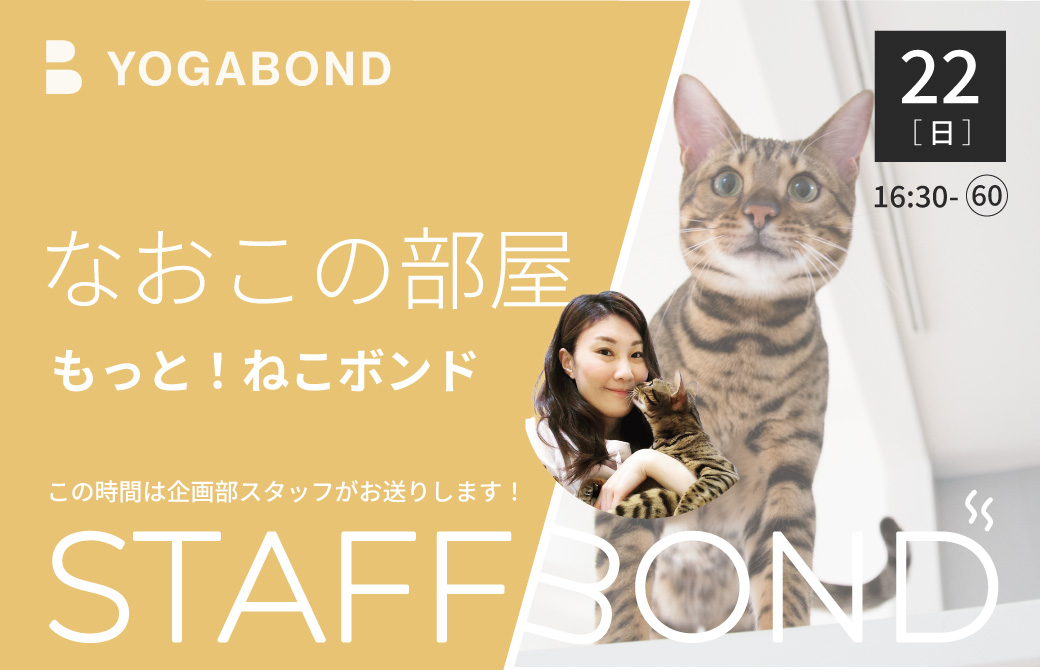 スタッフボンド―なおこの部屋|もっと!ねこボンド